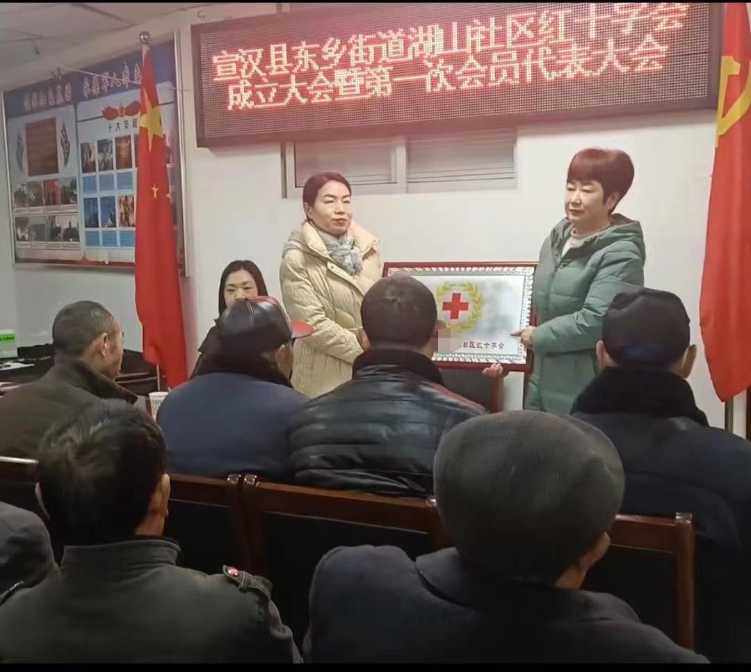 湖山红十字成立1.jpg